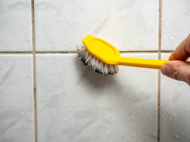 Water Damage Restoration in Cedar Springs, MI