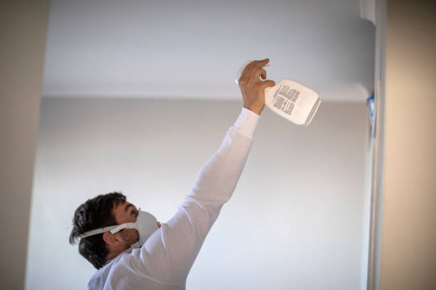 Best Mold Damage Repair  in Cedar Springs, MI