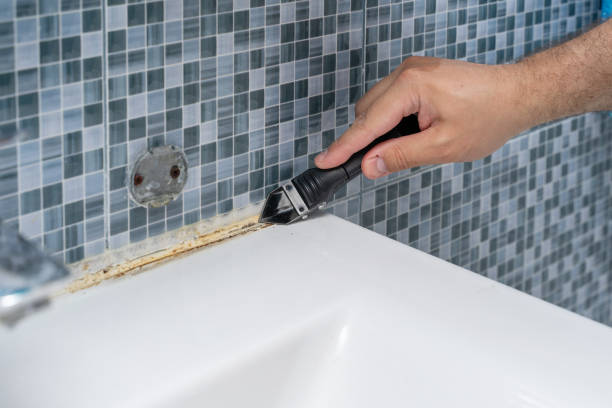 Best Local Mold Removal Service  in Cedar Springs, MI