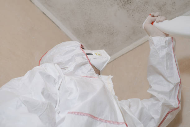 Best Professional Mold Removal  in Cedar Springs, MI